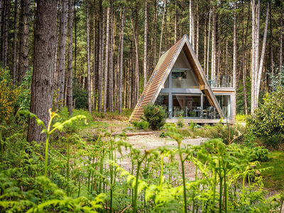 Lizs Lodge at Weybourne Forest Lodges
